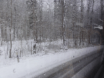 DSC00179.gif