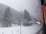 DSC00181.gif