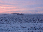 DSC00222.gif