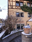 DSC00255.gif