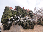 DSC00269.gif
