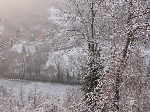 DSC00272.gif