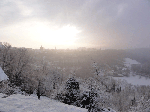 DSC00273.gif