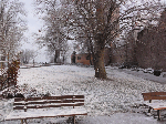 DSC00274.gif