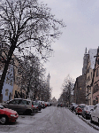 DSC00286.gif