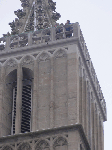 DSC00291.gif
