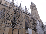 DSC00292.gif