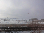 DSC00320.gif