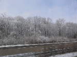 DSC00322.gif