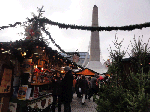 DSC00362.gif