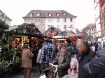 DSC00371.gif