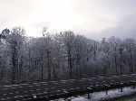 DSC00412.gif