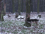 DSC00503.gif