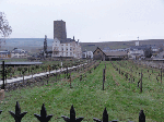 DSC00525.gif
