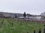 DSC00526.gif