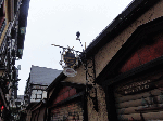 DSC00541.gif