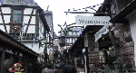DSC00545.gif