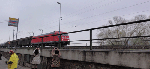 DSC00534.gif
