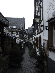 DSC00569.gif
