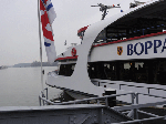 DSC00589.gif