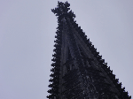 DSC00687.gif