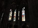 DSC00693.gif