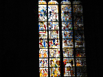 DSC00694.gif