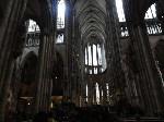 DSC00695.gif