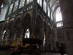 DSC00697.gif