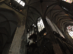 DSC00715.gif
