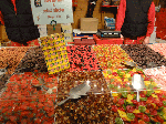 DSC00788.gif