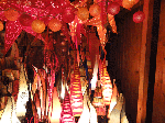 DSC00807.gif