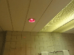DSC00850.gif