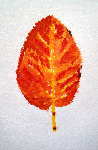 b9391516.gif
