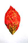 303a05ea.gif