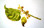 4fd91ec4.gif