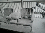 CIMG2676.gif