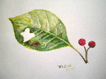 618ff3e7.gif