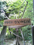 081005_1450~01.JPG