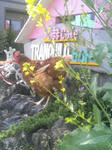 090418_1412~01.JPG