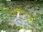 1a621900.jpeg