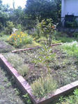090607_1015~01.JPG