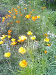 090607_1016~01.JPG