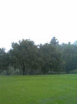 090725_0638~01.JPG