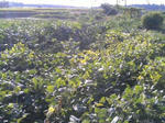 091004_1551~01.JPG