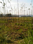091108_01.jpg