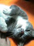 091113_2000~01.JPG