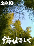100101_0101.JPG
