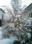 100113_0816~01.JPG