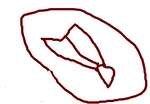 fimg_1300018611.png